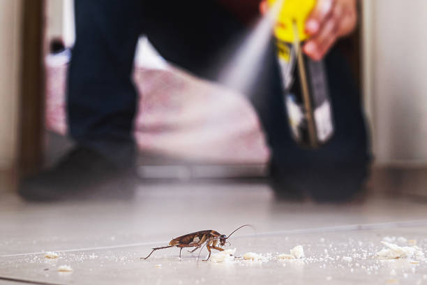 Best Termite Control Services  in Harrisville, PA